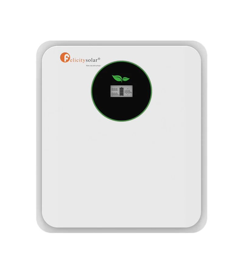 BATERÍA LITIO FELICITY 2,56 kWh – 24 V – 100 Ah